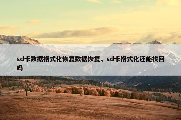 sd卡数据格式化恢复数据恢复，sd卡格式化还能找回吗