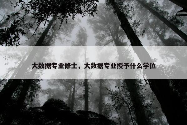 大数据专业修士，大数据专业授予什么学位