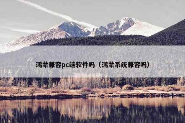 鸿蒙兼容pc端软件吗（鸿蒙系统兼容吗）