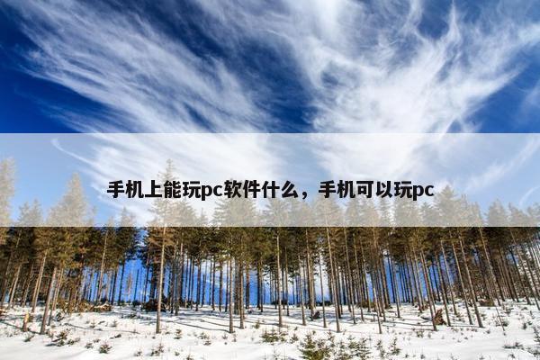 手机上能玩pc软件什么，手机可以玩pc