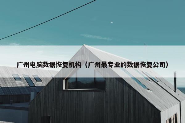 广州电脑数据恢复机构（广州最专业的数据恢复公司）