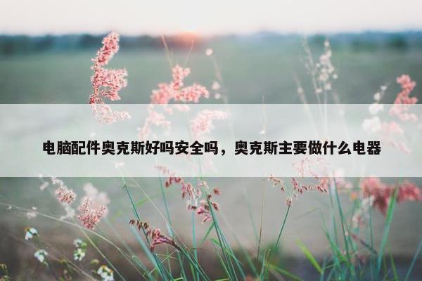 电脑配件奥克斯好吗安全吗，奥克斯主要做什么电器