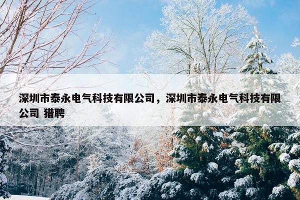 深圳市泰永电气科技有限公司，深圳市泰永电气科技有限公司 猎聘