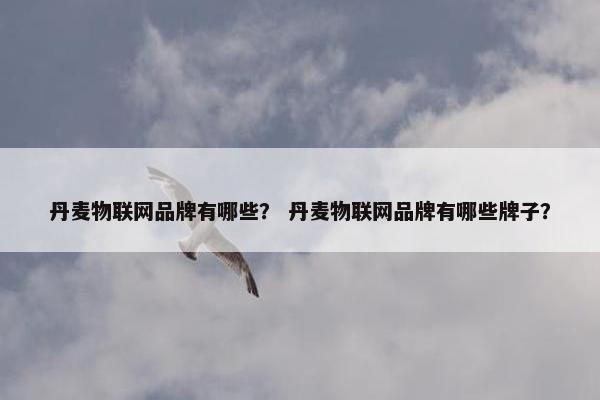 丹麦物联网品牌有哪些？ 丹麦物联网品牌有哪些牌子？