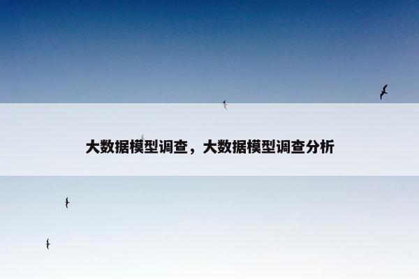 大数据模型调查，大数据模型调查分析