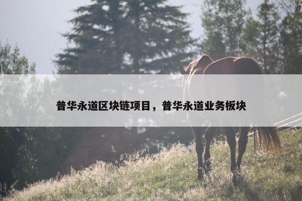 普华永道区块链项目，普华永道业务板块