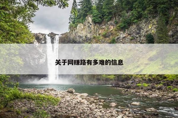 关于网赚路有多难的信息