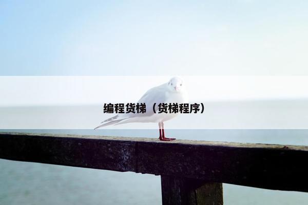 编程货梯（货梯程序）