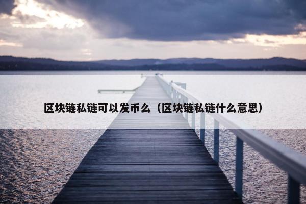 区块链私链可以发币么（区块链私链什么意思）