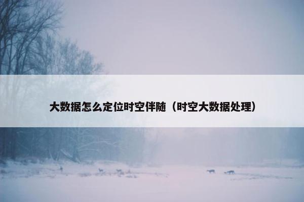 大数据怎么定位时空伴随（时空大数据处理）