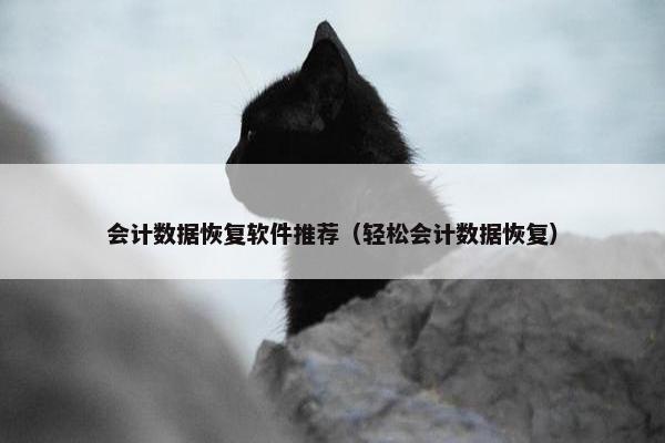 会计数据恢复软件推荐（轻松会计数据恢复）