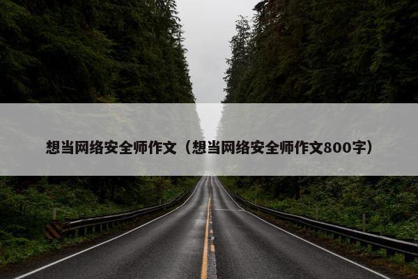 想当网络安全师作文（想当网络安全师作文800字）
