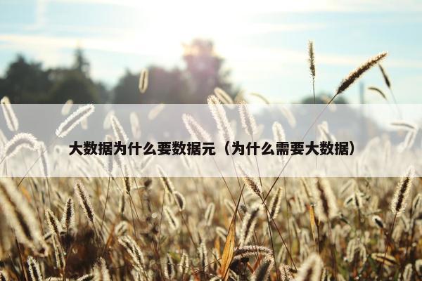 大数据为什么要数据元（为什么需要大数据）
