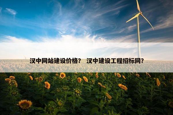 汉中网站建设价格？ 汉中建设工程招标网？