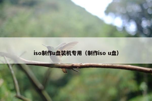 iso制作u盘装机专用（制作iso u盘）
