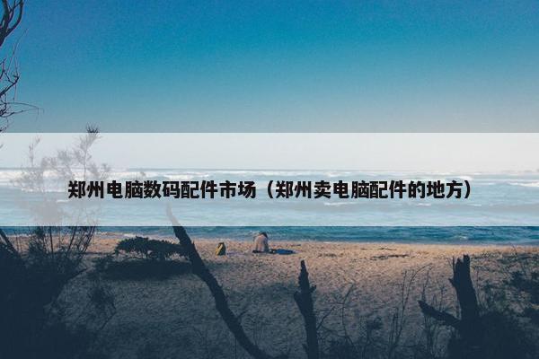 郑州电脑数码配件市场（郑州卖电脑配件的地方）