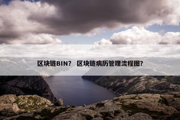 区块链BIN？ 区块链病历管理流程图？