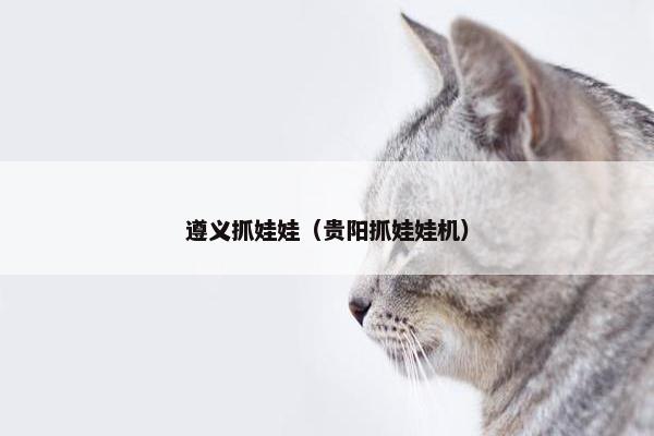 遵义抓娃娃（贵阳抓娃娃机）