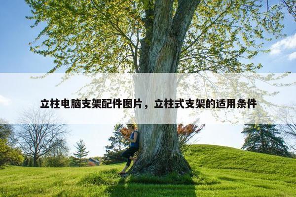 立柱电脑支架配件图片，立柱式支架的适用条件