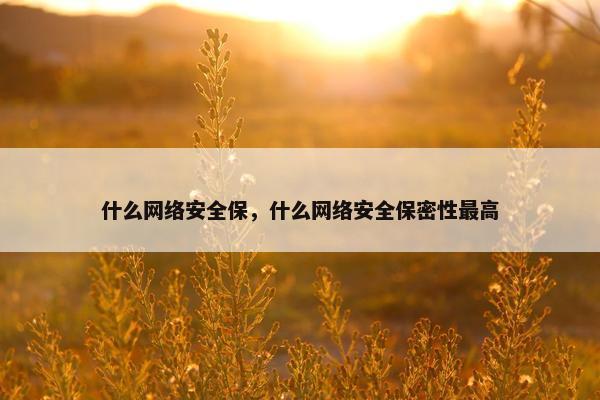 什么网络安全保，什么网络安全保密性最高