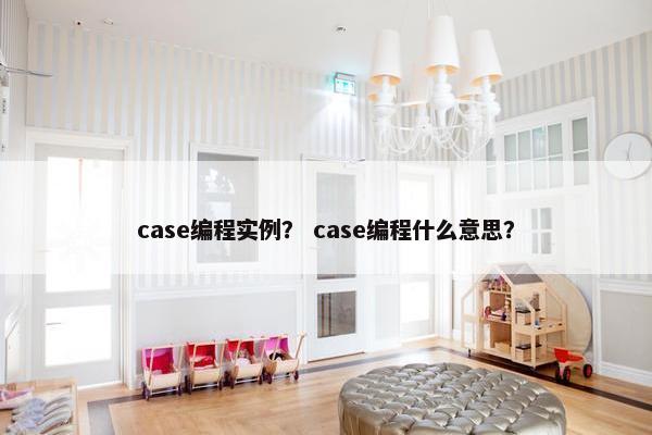 case编程实例？ case编程什么意思？