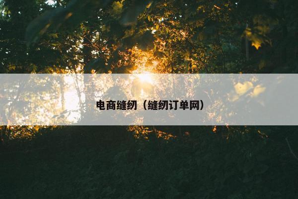 电商缝纫（缝纫订单网）