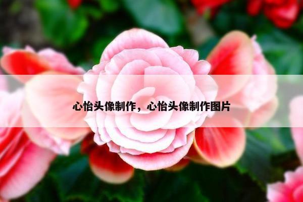 心怡头像制作，心怡头像制作图片