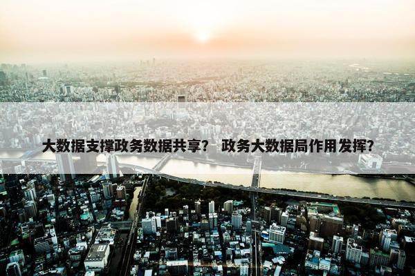 大数据支撑政务数据共享？ 政务大数据局作用发挥？