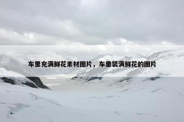 车里充满鲜花素材图片，车里装满鲜花的图片