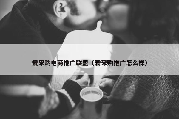 爱采购电商推广联盟（爱采购推广怎么样）