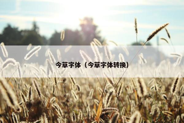 今草字体（今草字体转换）