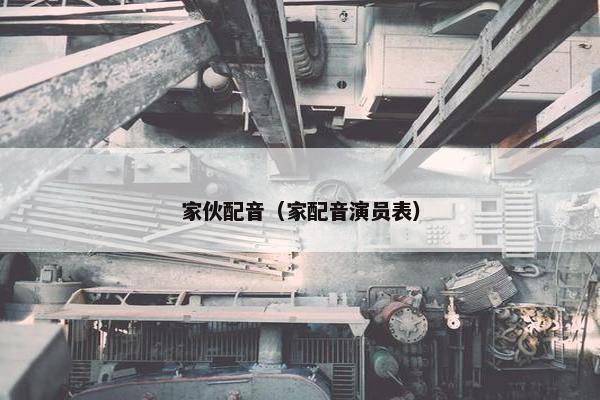 家伙配音（家配音演员表）