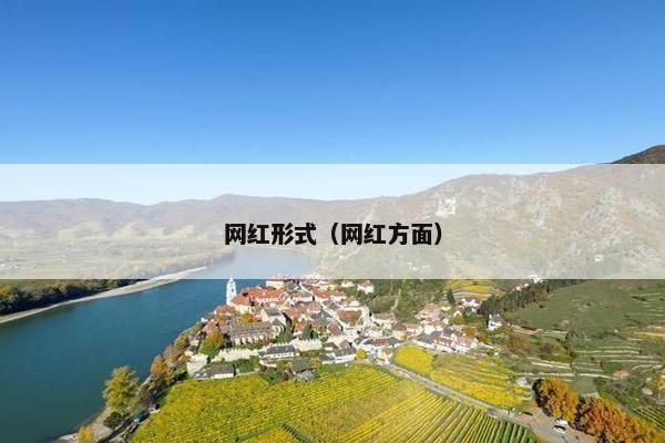 网红形式（网红方面）