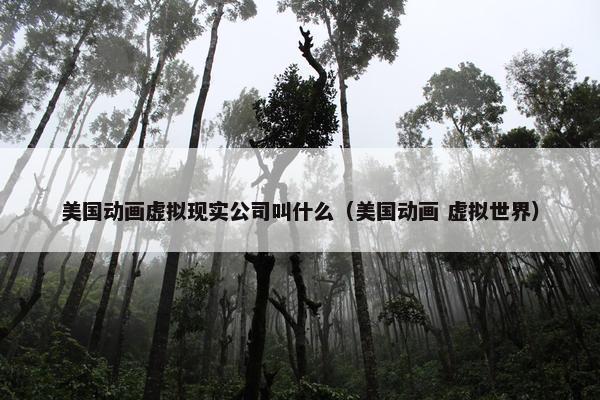 美国动画虚拟现实公司叫什么（美国动画 虚拟世界）