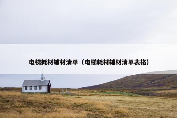 电梯耗材辅材清单（电梯耗材辅材清单表格）