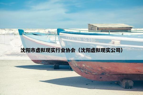 沈阳市虚拟现实行业协会（沈阳虚拟现实公司）