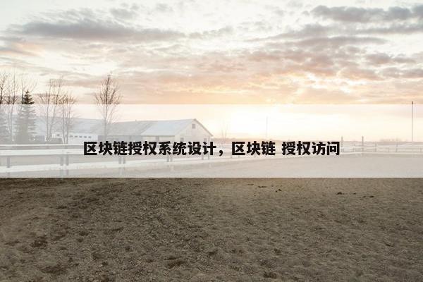 区块链授权系统设计，区块链 授权访问