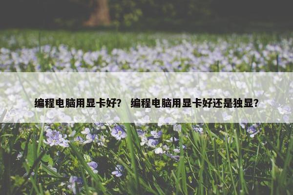 编程电脑用显卡好？ 编程电脑用显卡好还是独显？