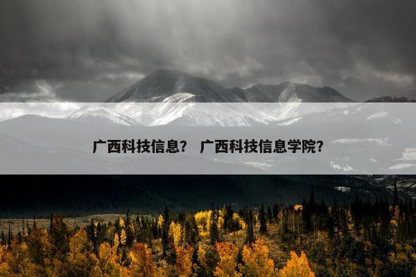 广西科技信息？ 广西科技信息学院？