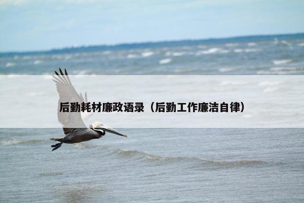 后勤耗材廉政语录（后勤工作廉洁自律）