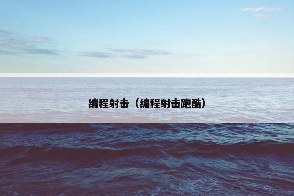 编程射击（编程射击跑酷）