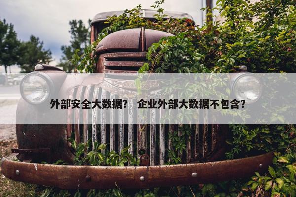 外部安全大数据？ 企业外部大数据不包含？