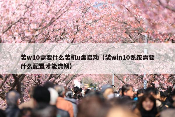 装w10需要什么装机u盘启动（装win10系统需要什么配置才能流畅）