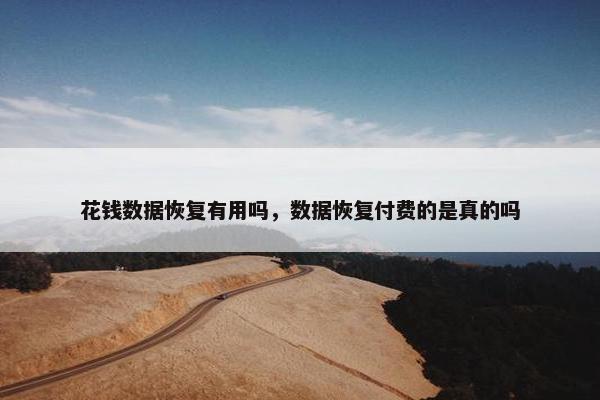 花钱数据恢复有用吗，数据恢复付费的是真的吗