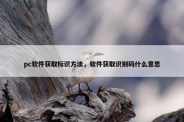 pc软件获取标识方法，软件获取识别码什么意思