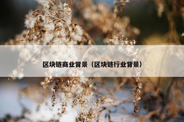 区块链商业背景（区块链行业背景）