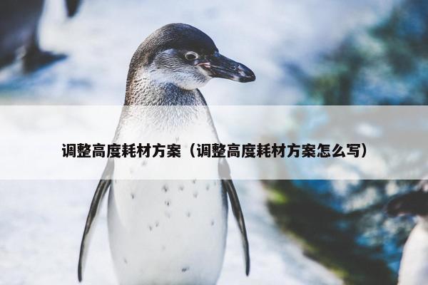 调整高度耗材方案（调整高度耗材方案怎么写）