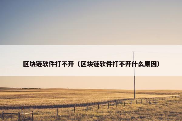 区块链软件打不开（区块链软件打不开什么原因）