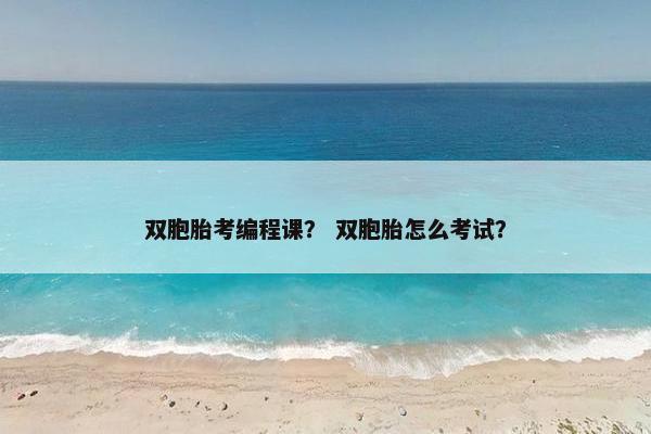 双胞胎考编程课？ 双胞胎怎么考试？