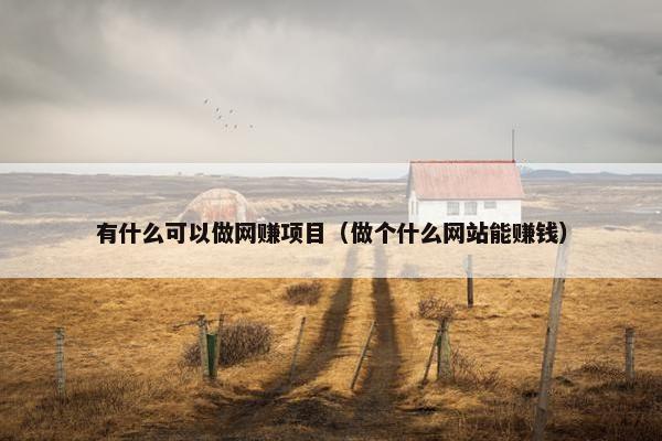 有什么可以做网赚项目（做个什么网站能赚钱）
